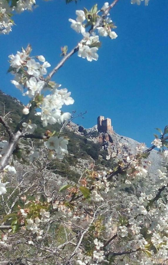 Вілла Casa La Oliva Albanchez de Ubeda Екстер'єр фото
