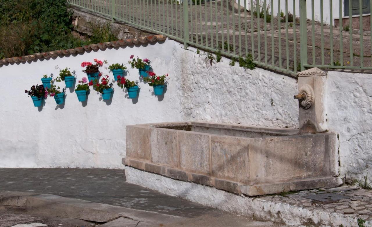 Вілла Casa La Oliva Albanchez de Ubeda Екстер'єр фото